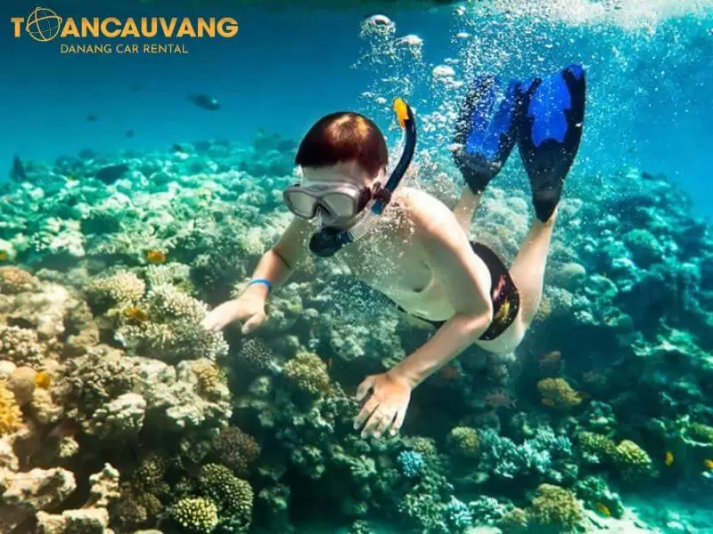 lăn biển ngắm san hô sơn trà là một trải nghiệm tuyệt vời