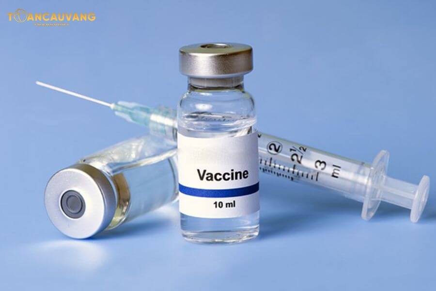 Vaccine cần vận chuyển lạnh để đảm bảo chất lượng 