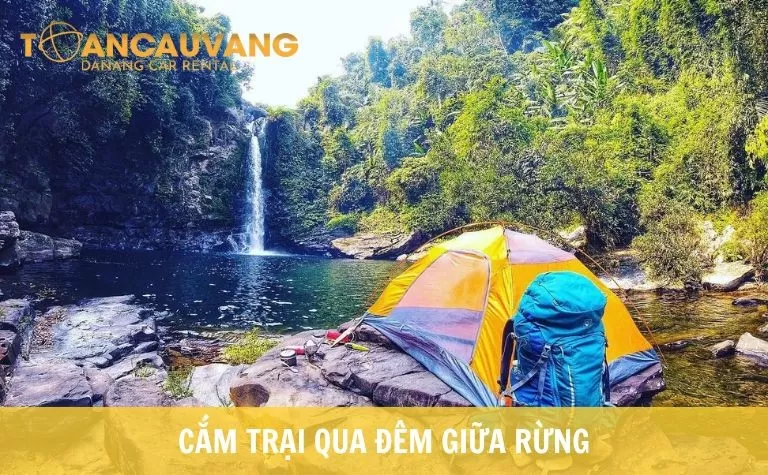 cam-trai-qua-dem-giua-rung