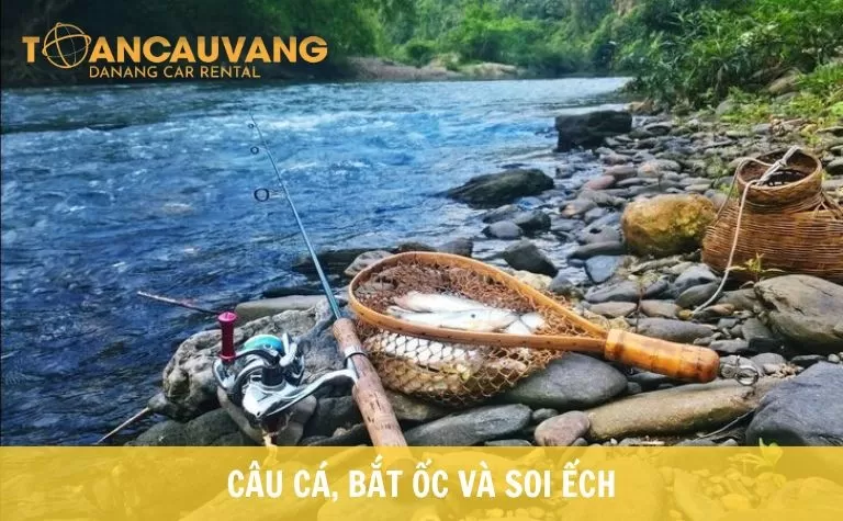 cau-ca-bat-oc-va-soi-ech